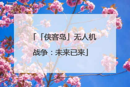 「侠客岛」无人机战争：未来已来